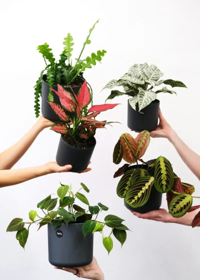 feey-9v16ZuK9Iic-unsplash