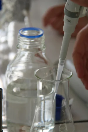 website-thesis-Intro-chapters website-thesis-Intro-chapters